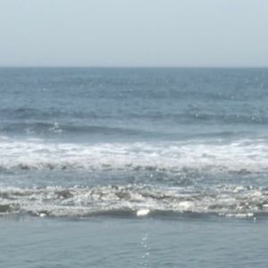 Meet your Posher, Gianna